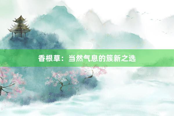 香根草：当然气息的簇新之选